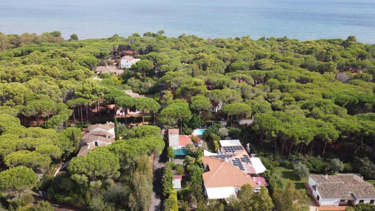 Jungle House - Pineta Is Morus Villa Santa Margherita di Pula Buitenkant foto